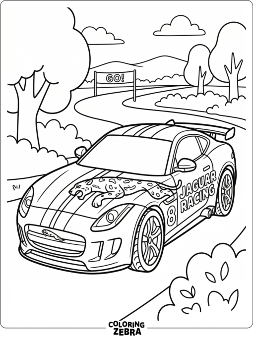 A jaguar car with racing stripes