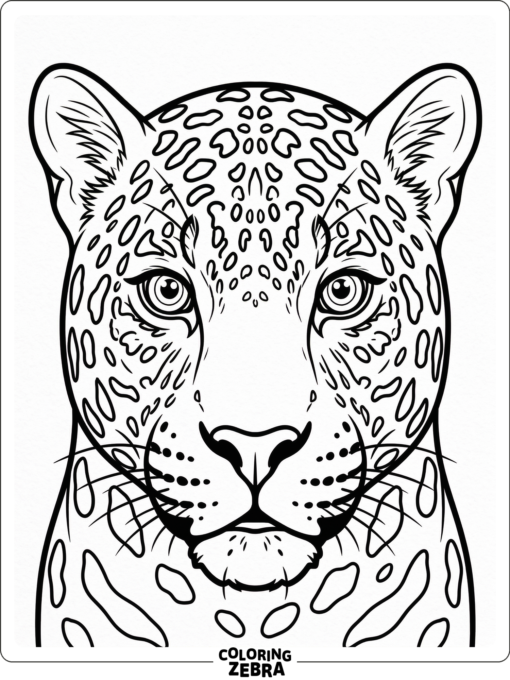 A jaguar face with spots and alert eyes