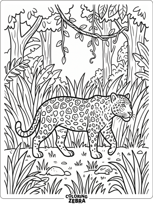 A jaguar moving through a jungle habitat