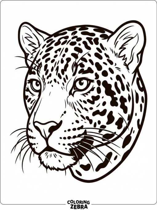A jaguar head turned slightly with whiskers