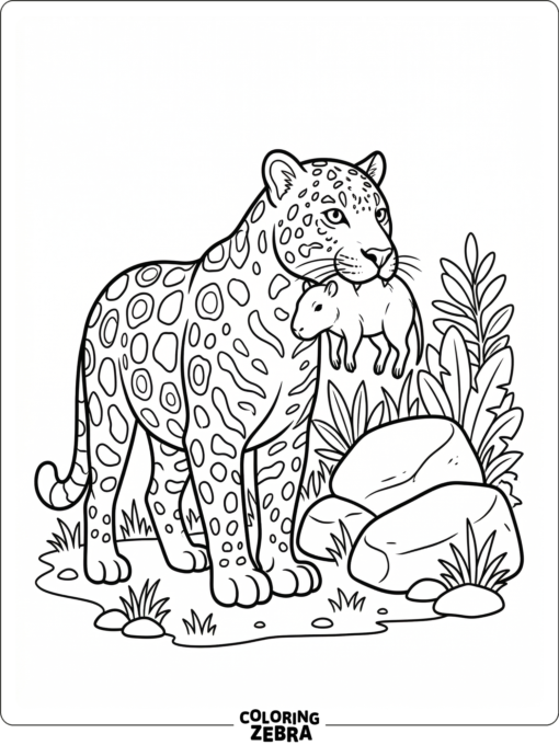 A jaguar holding prey beside rocks