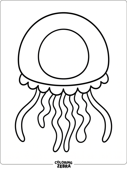 A close-up of a jellyfish bell with simple lines