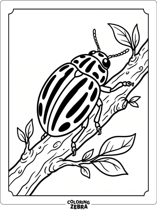 A jewel beetle resting on a twig