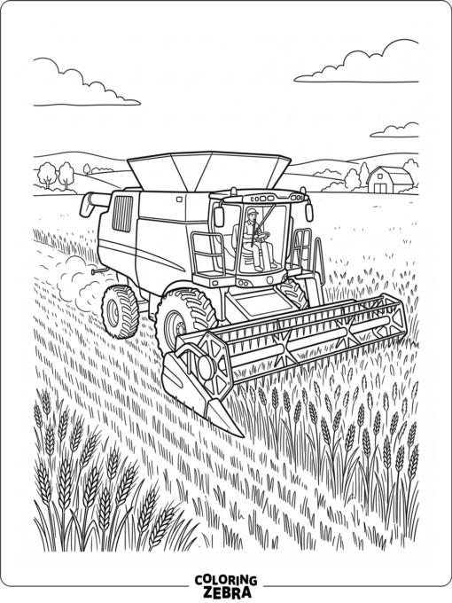 A combine harvester in a grain field
