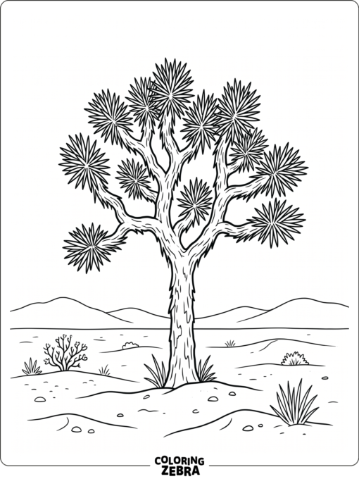 A Joshua tree with spiky branches and simple desert ground