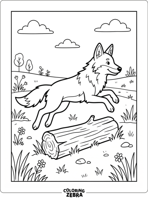 A coyote jumping over a low log in a meadow