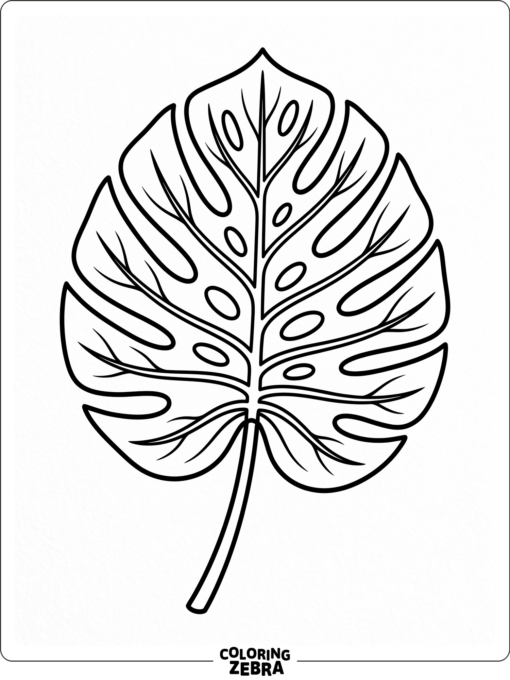 A large jungle leaf with bold veins