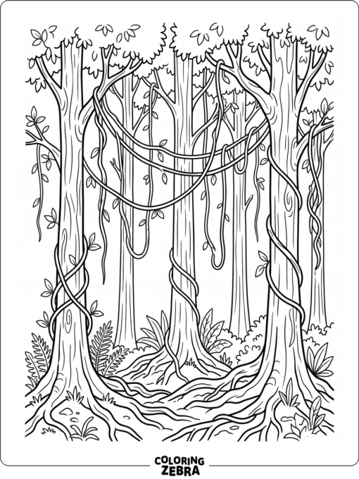 Tall jungle trees with hanging vines and thick roots