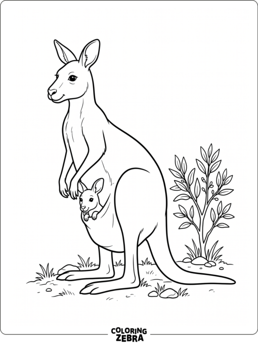 A mother kangaroo with a joey in her pouch