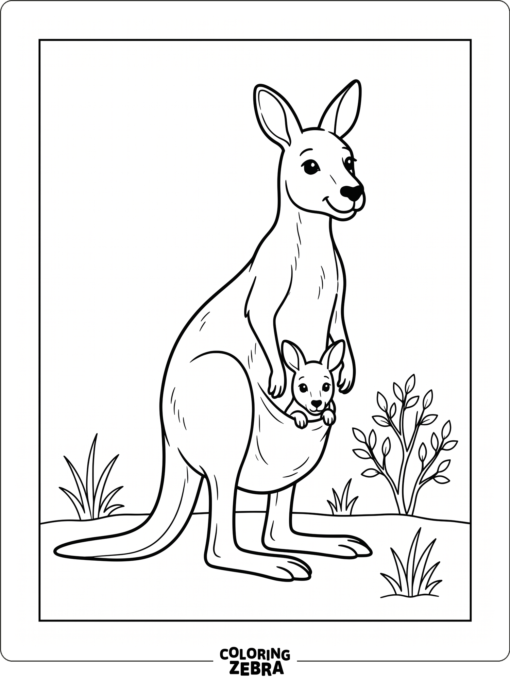 A kangaroo in a simple open scene with bold outlines