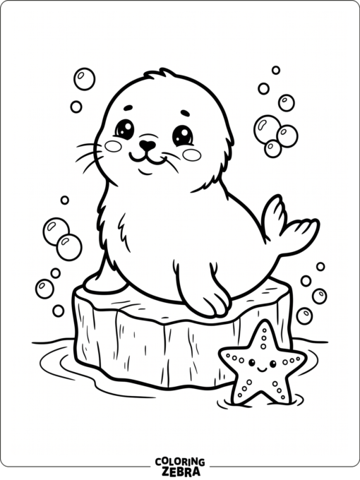 A kawaii baby seal on ice with a starfish