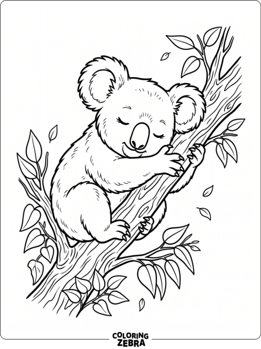 A koala resting on a tree branch