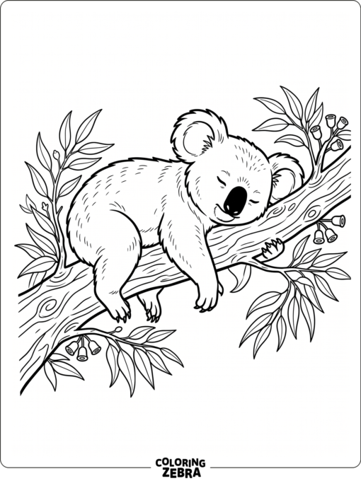 A koala lying across a branch