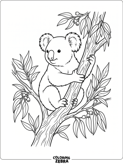 A koala sitting on a eucalyptus branch with leaves