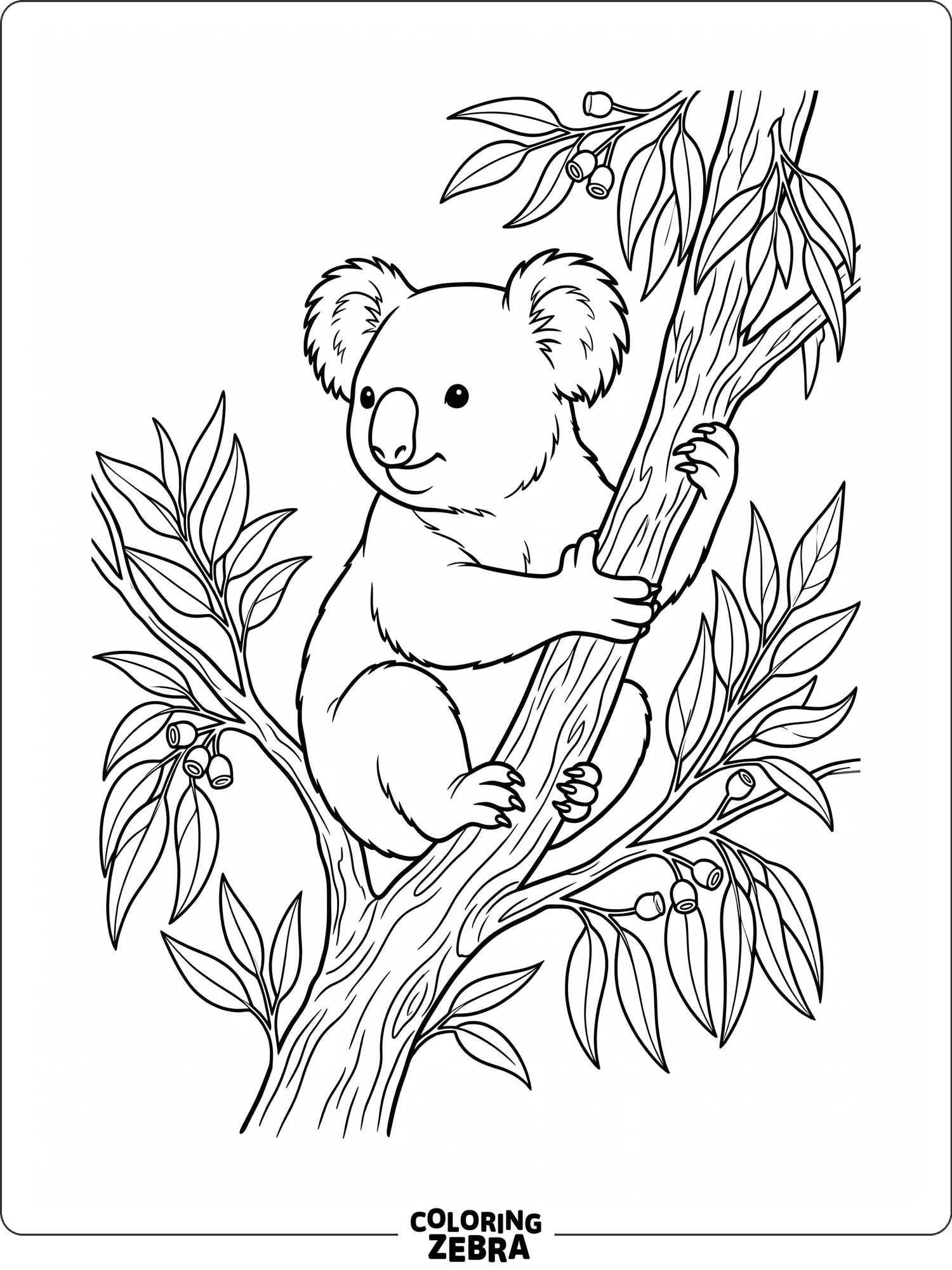 A koala sitting on a eucalyptus branch with leaves