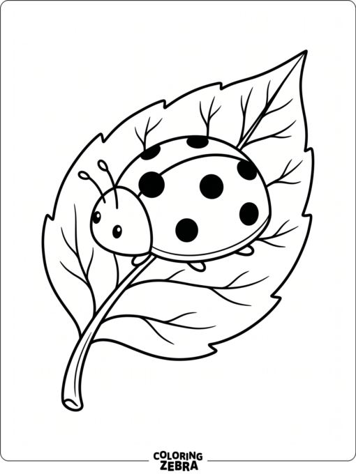 A little ladybug with bold spots resting on a leaf