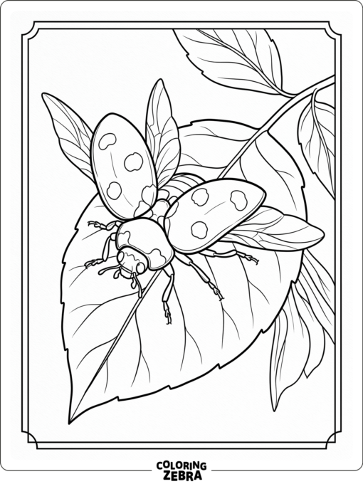 A ladybug resting on a leaf with open wings