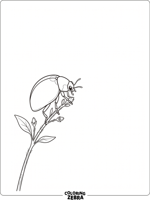 A spotless ladybug standing on a tiny stem