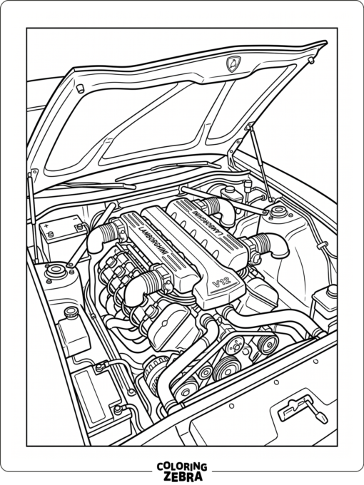 Lamborghini engine under an open hood with simple parts
