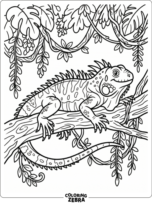 A large iguana stretched across a tree branch