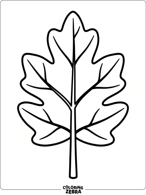 A very large leaf with bold veins