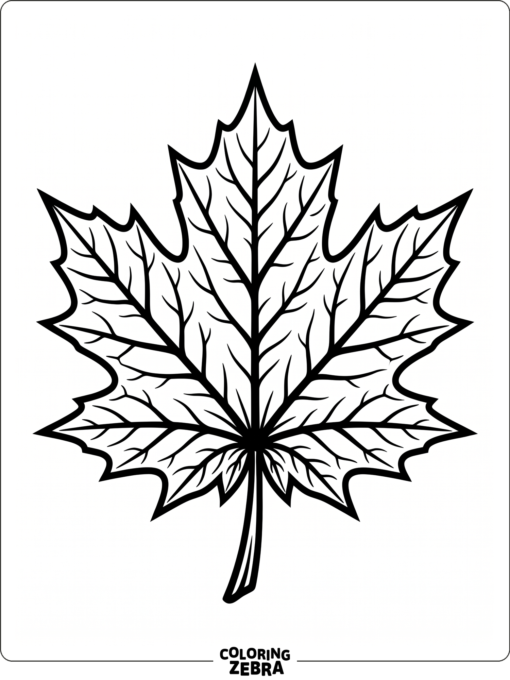A large maple leaf with bold veins