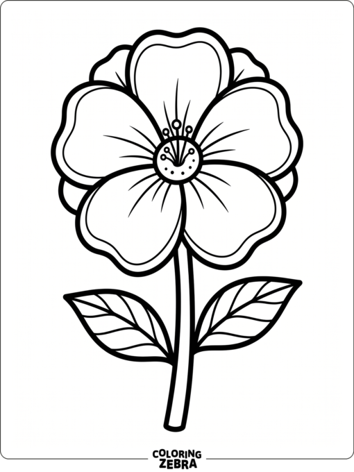 A large flower with wide petals and a thick stem