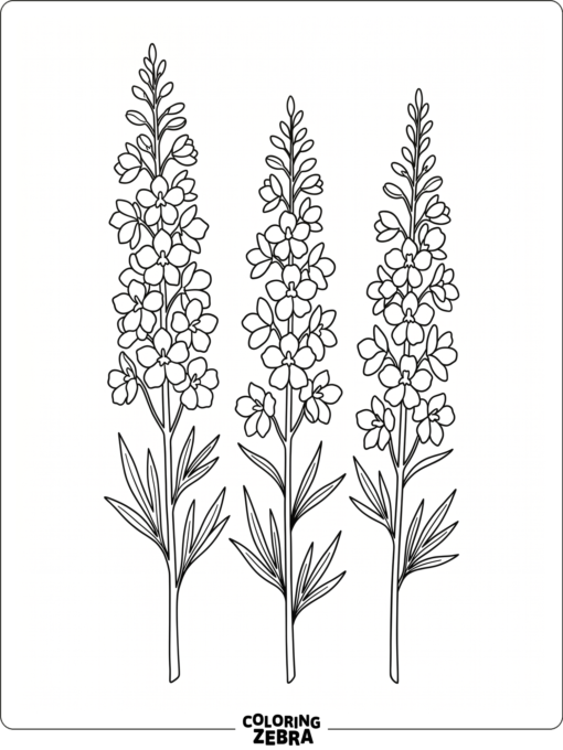 Tall larkspur stems with narrow leaves and blossoms