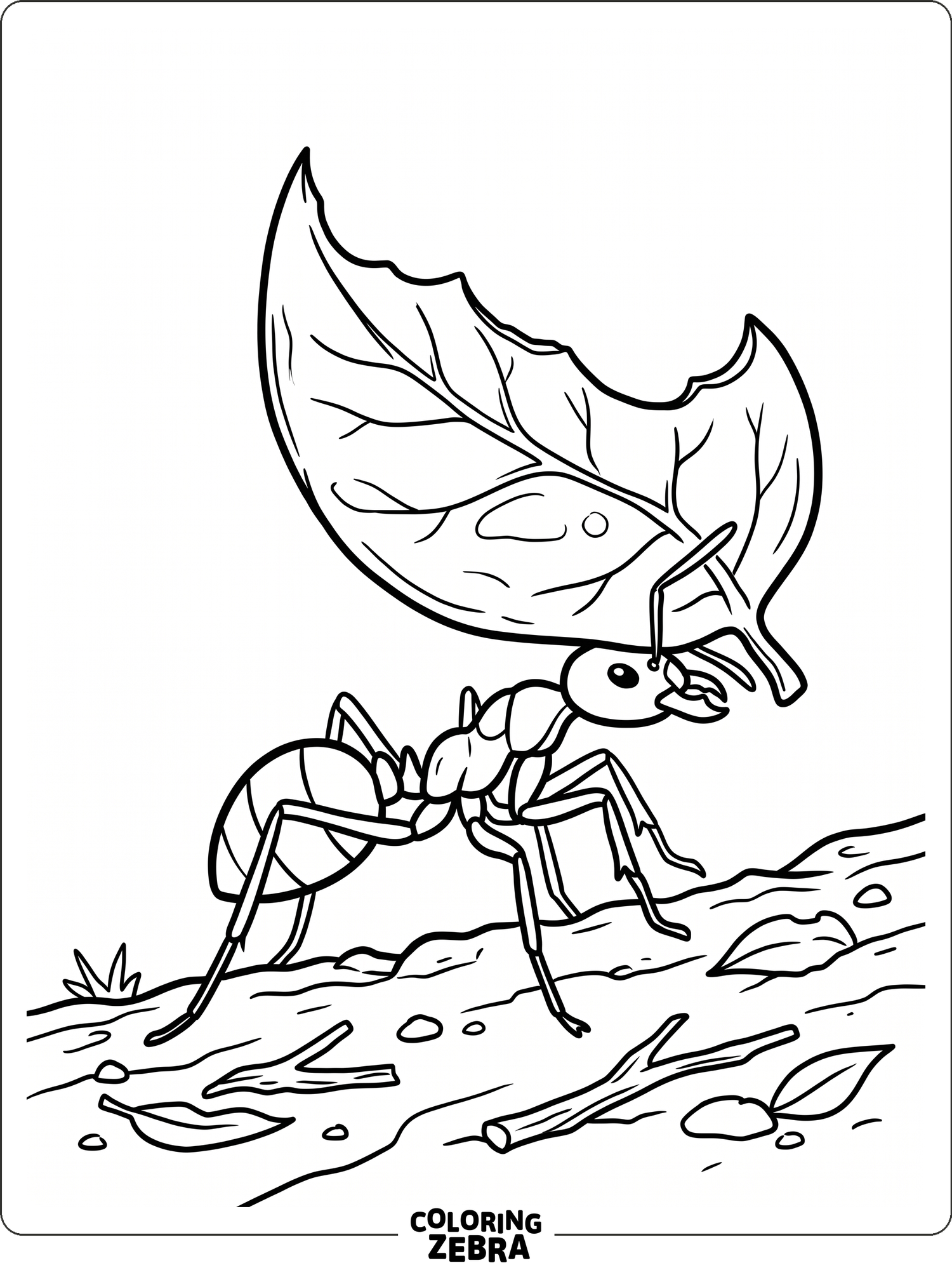 29 Free Ant Coloring Pages - Printable PDF Sheets