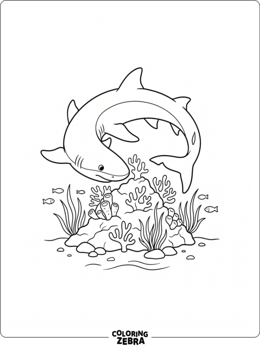 A lemon shark swims near a reef and sea grass