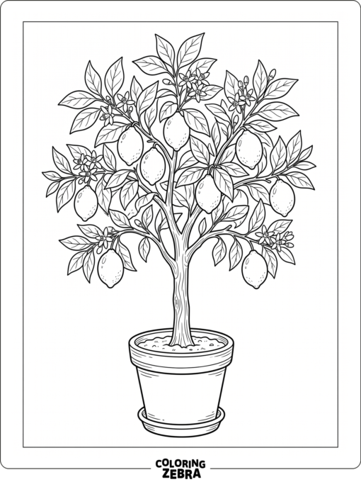 A lemon tree with fruit, blossoms, and a small pot