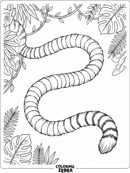 A lemur tail stretched across the page with striped rings