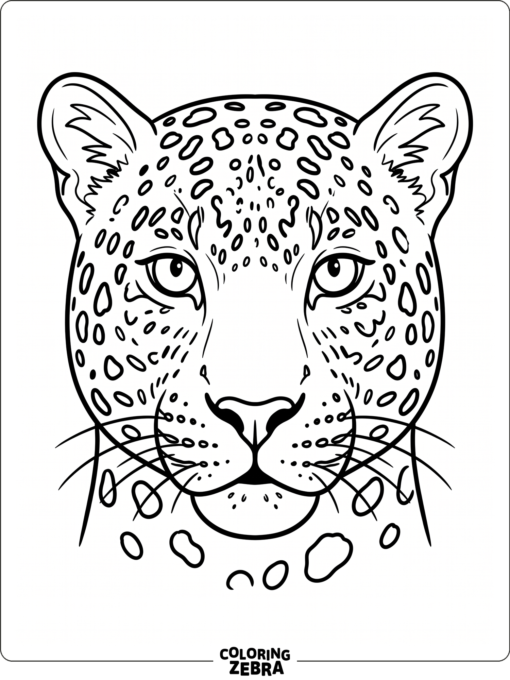 A close-up of a leopard face with bold spots