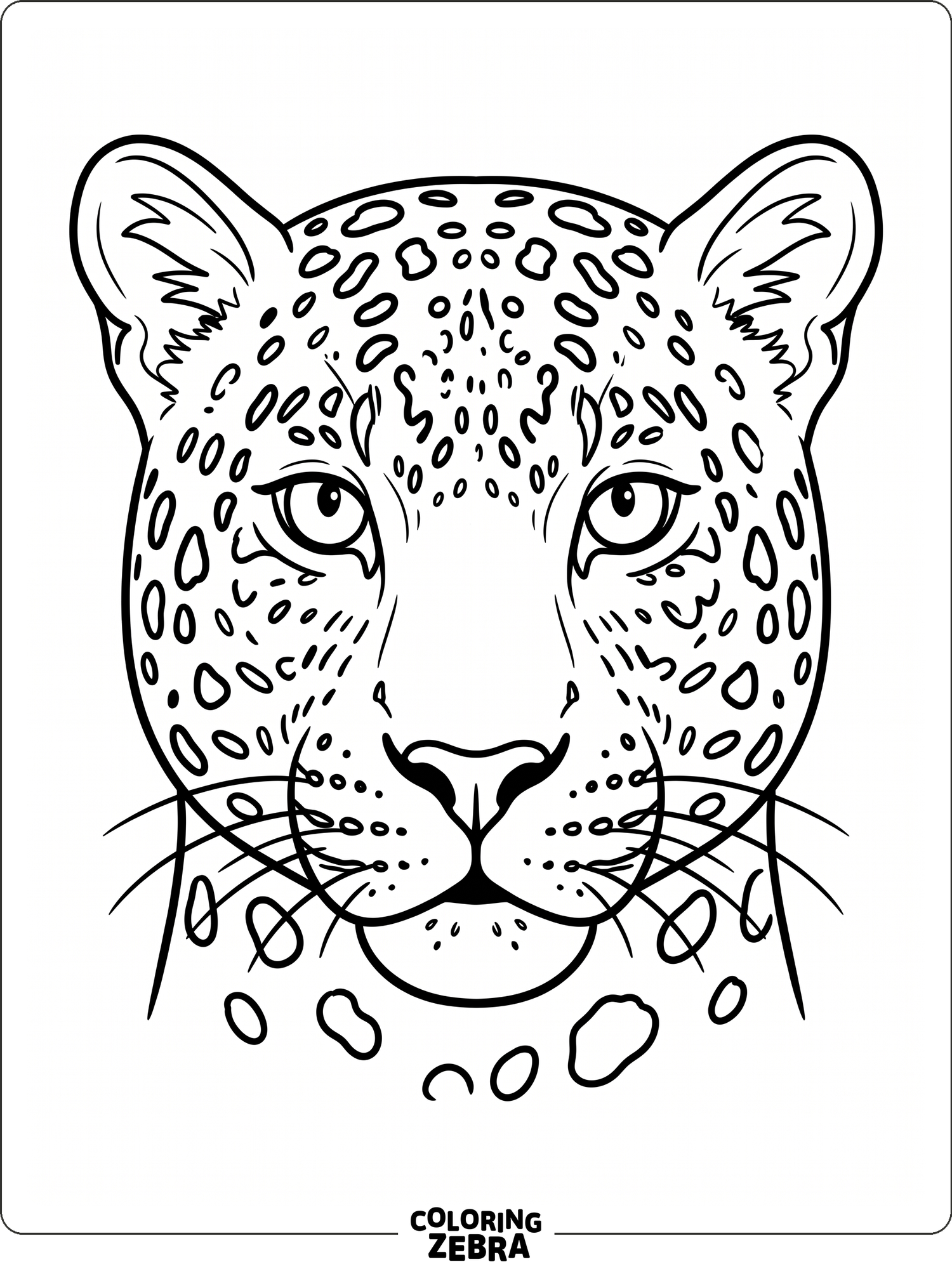 A close-up of a leopard face with bold spots