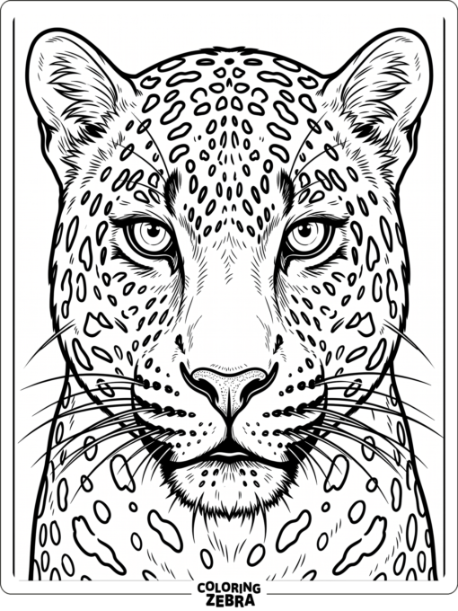 A leopard face shown from the front with strong eyes and spots