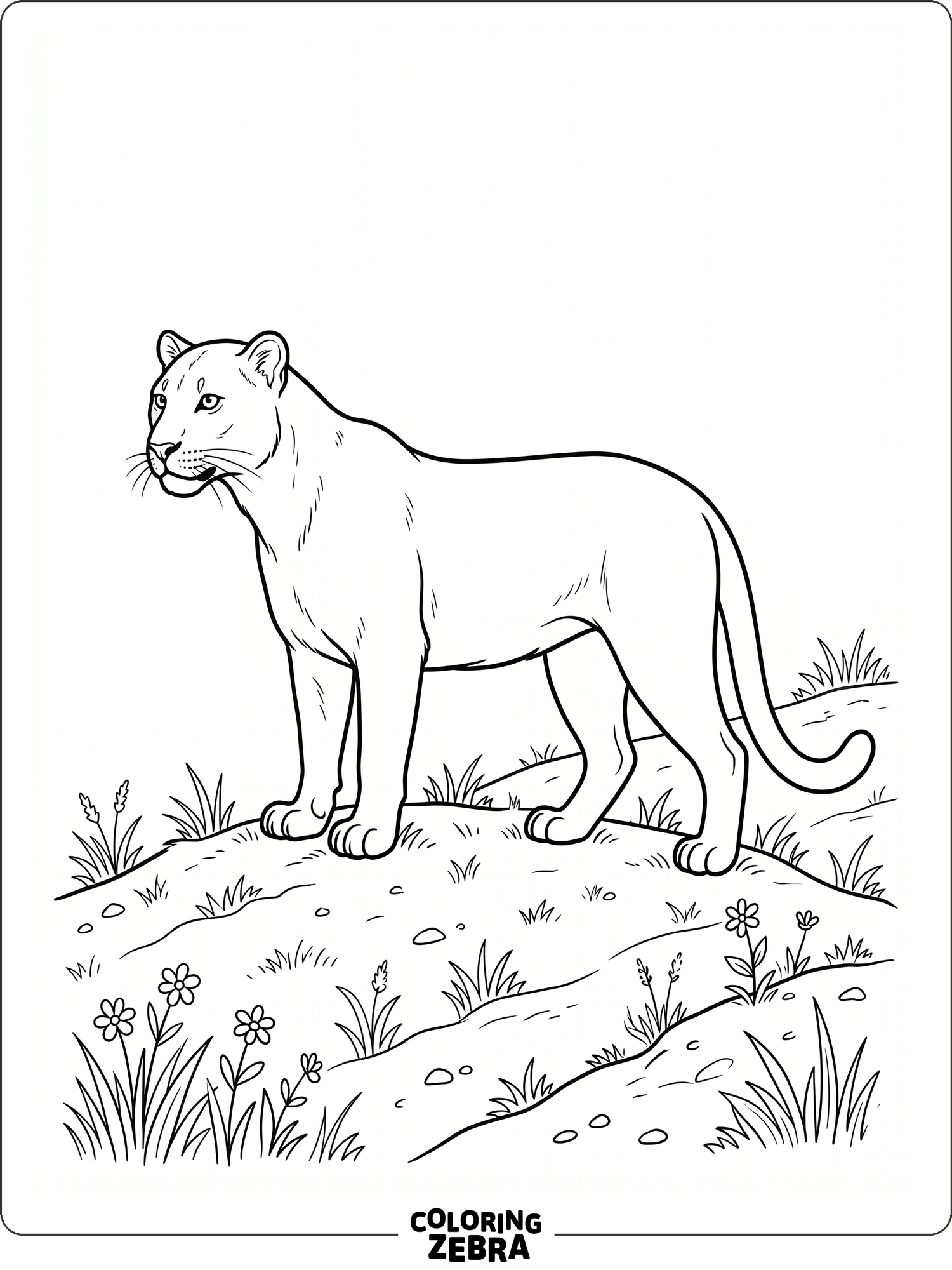 33 Free Leopard Coloring Pages - Printable PDF Sheets