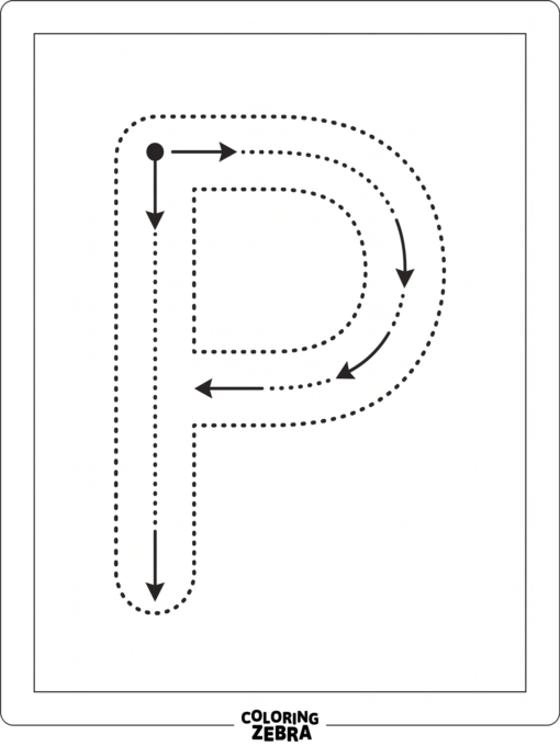 A dotted P path with arrows for tracing