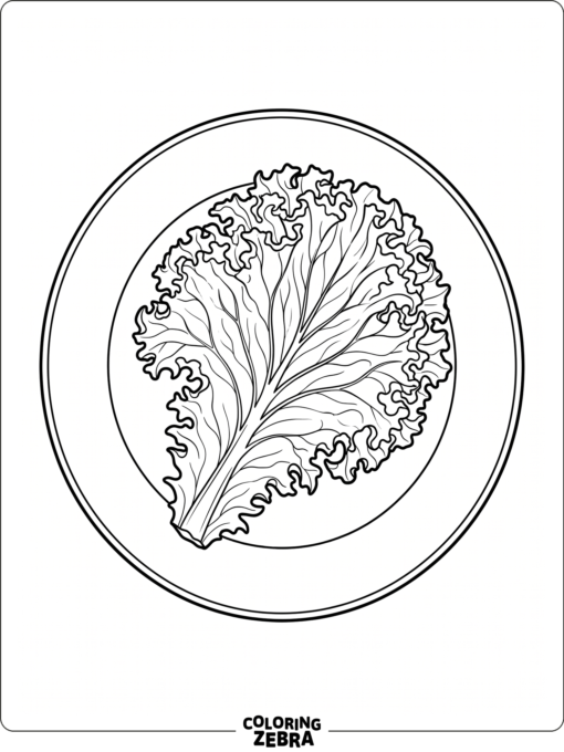 A lettuce leaf with curly edges