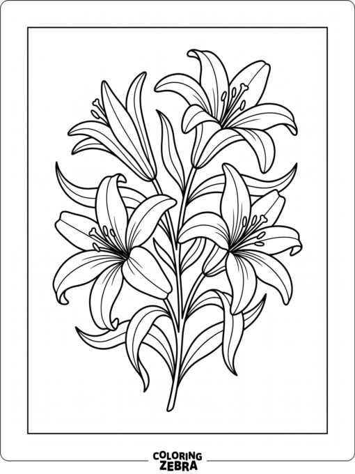 A cluster of lilies with long petals and leaves