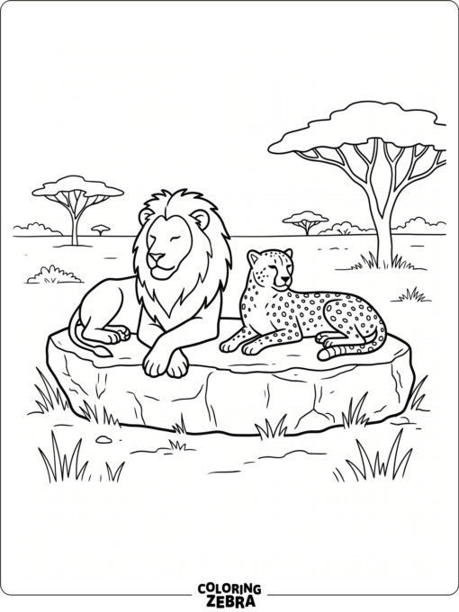 A lion and cheetah resting together
