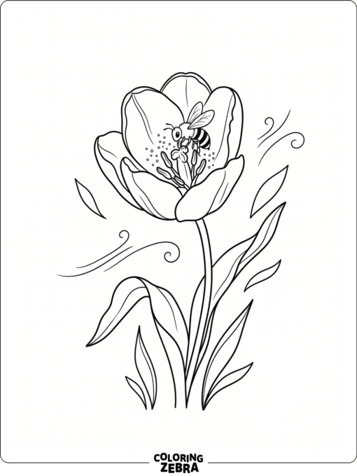 A little bee collecting pollen from a tulip