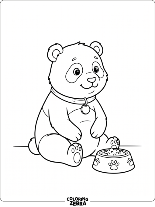 A small panda with a collar beside a bowl