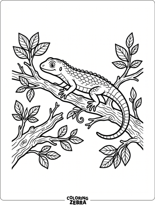 A simple lizard on a branch with bold outlines