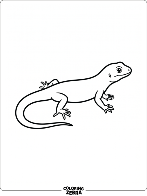 A single lizard outline with lots of open space