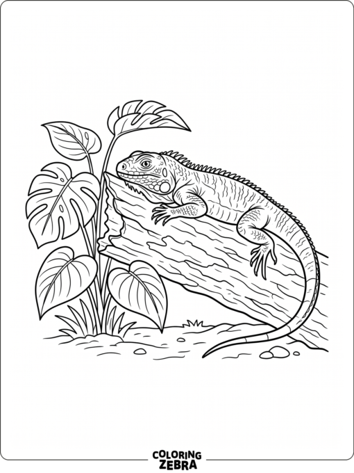 A lizard resting on a log beside broad leaves