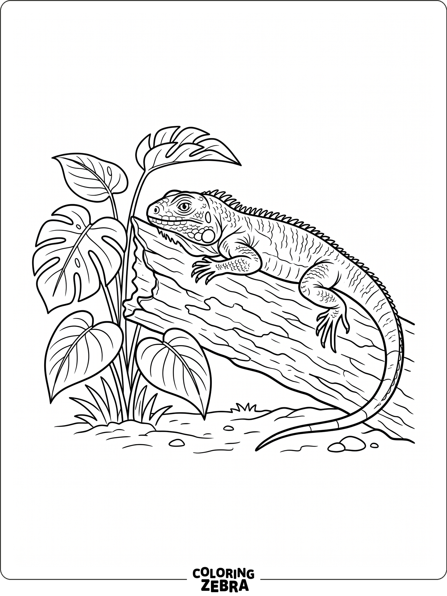 44 Free Lizard Coloring Pages - Printable PDF Sheets