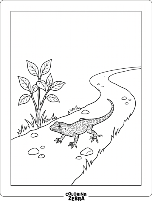 A lizard on a path with pebbles and a plant