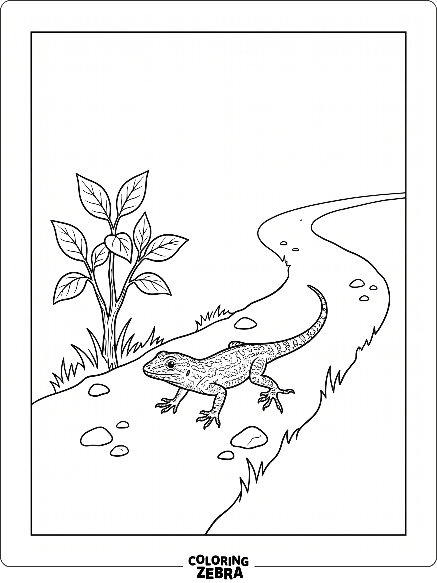 44 Free Lizard Coloring Pages - Printable PDF Sheets