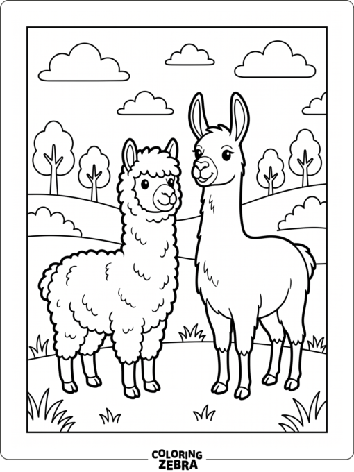 An alpaca and a llama standing together in a field