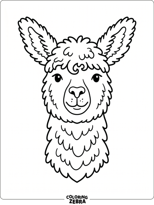 A llama head with fluffy ears and neck fur